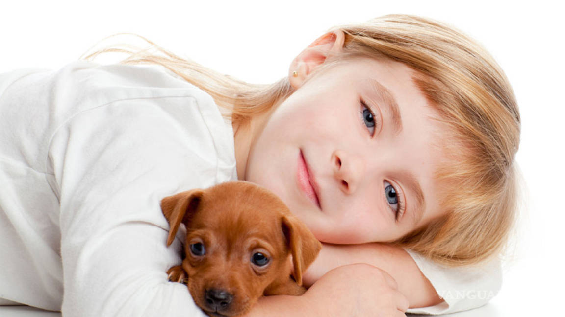 Tener perro reduce el riesgo de asma en los niños