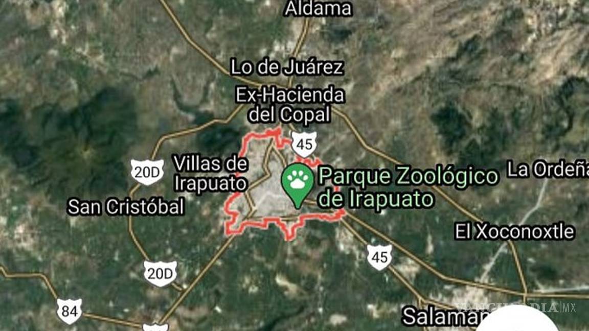 $!Fosas de Irapuato serían panteón clandestino del Cártel Jalisco