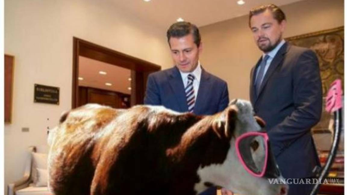 $!Reunión de Peña y Di Caprio desatan memes