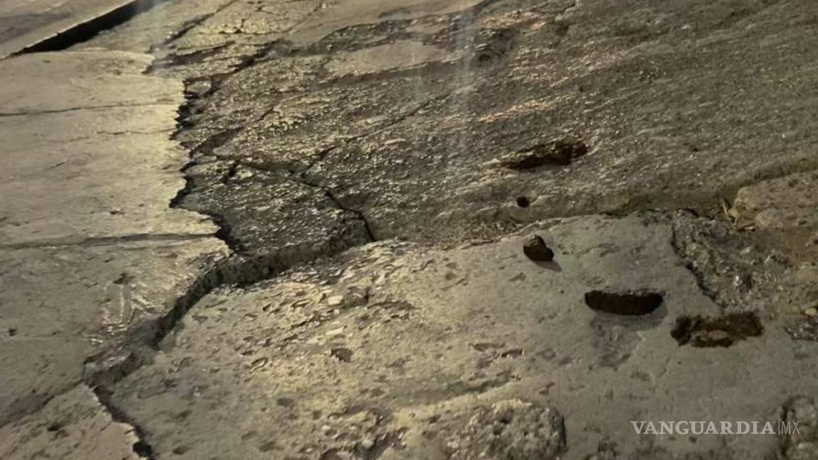 $!En calles de alto tránsito y otras donde existen servicios de comida como Nicolás Bravo, Miguel Hidalgo y Ramos Arizpe, las heces forman parte de la vida de las banquetas.