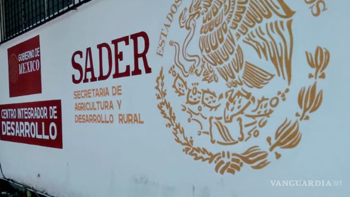 Denuncian alianza de titular de la Sader y exfuncionarios con empresas a favor del maíz transgénico