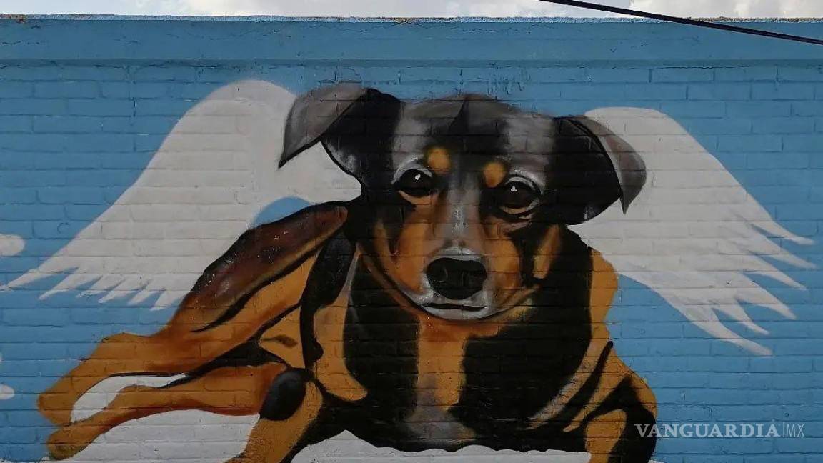 Crean mural en homenaje a ‘Scooby’, el perrito que falleció en Tecámac