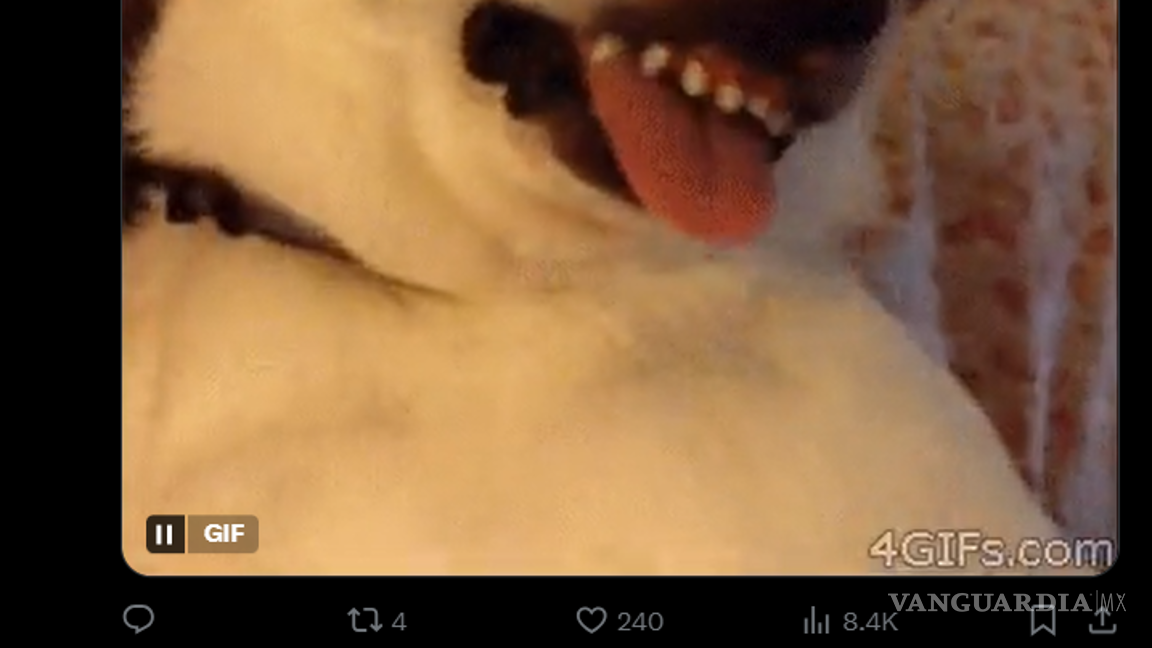 $!Cinemex cambia de imagen y desata ola de reacciones: estos son los mejores memes sobre el nuevo logo