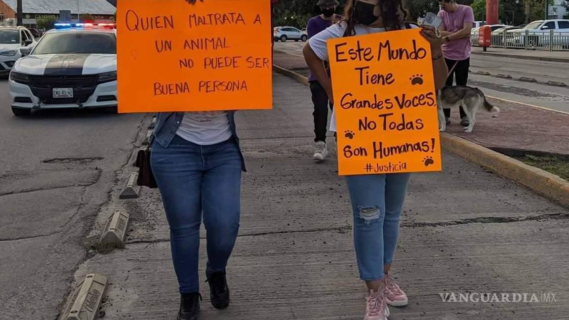 Acusan a ‘rescatista’ de perros de abusar sexualmente de al menos seis animales en Chihuahua