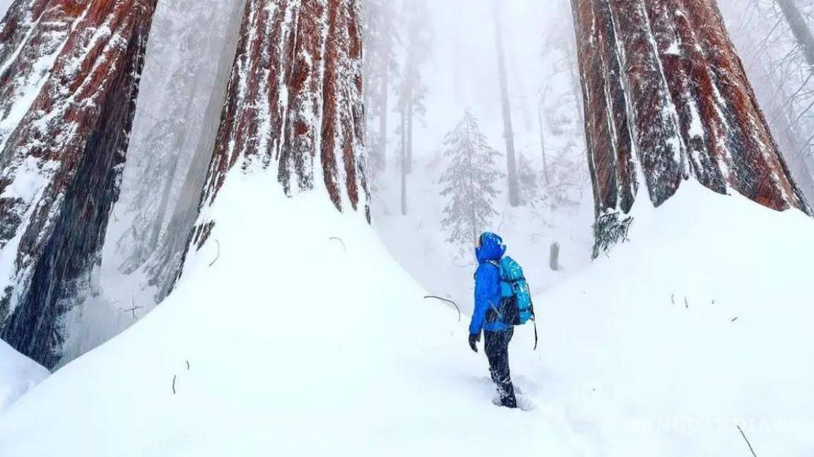 $!Panorama invernal captado desde el Parque Nacional de las Secuoyas, ubicado en la parte sur de Sierra Nevada, en California, Estados Unidos.