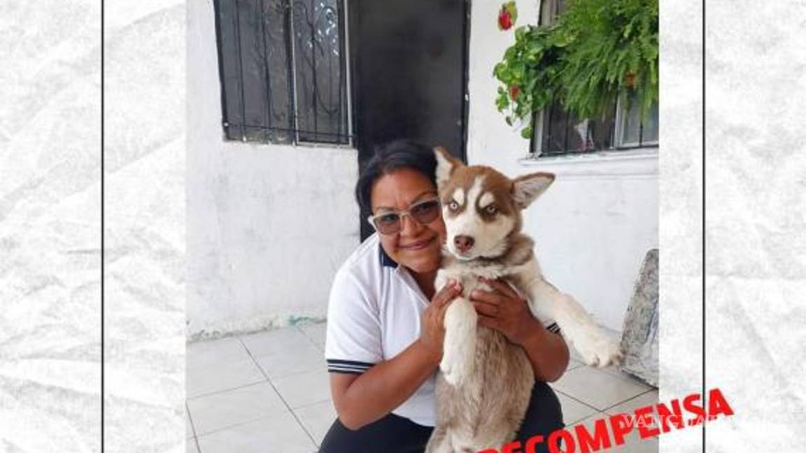 $!Publicación de búsqueda por mascota perdida.