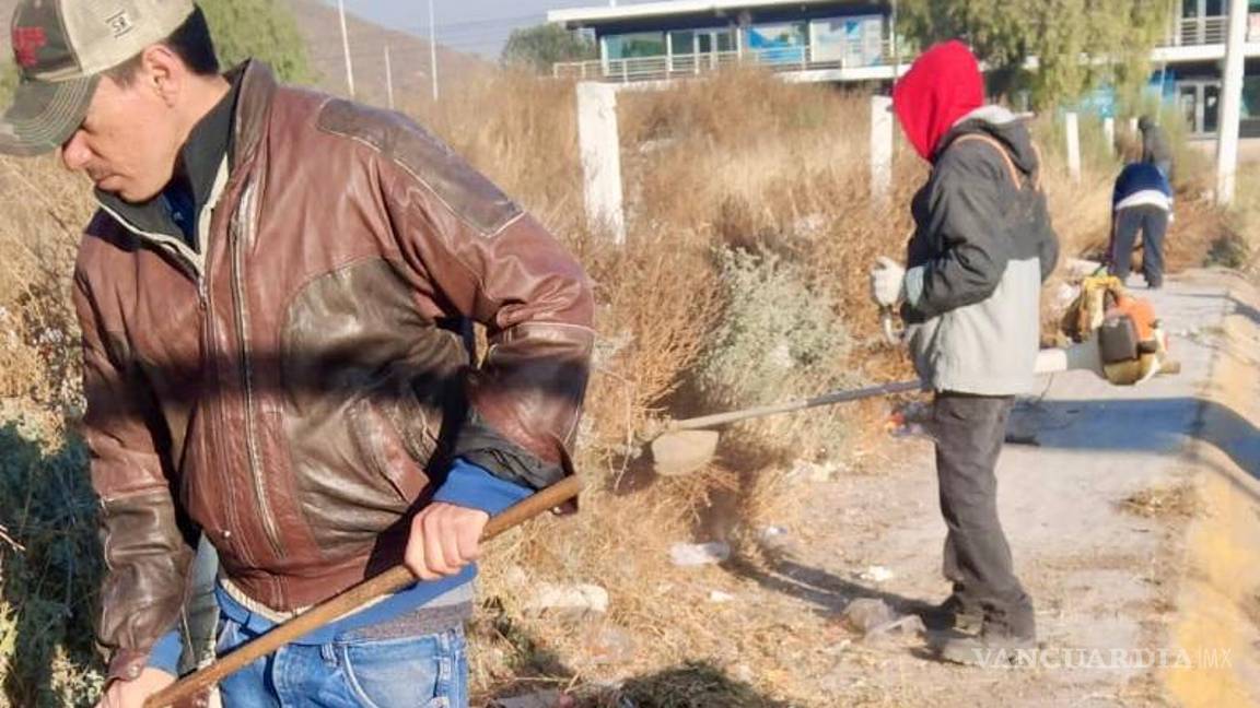 $!Desde temprana hora las brigadas iniciaron con el retiro de maleza de banquetas.