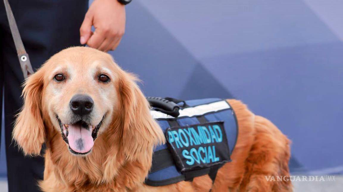 $!“Sky” está en tratamiento a causa del cáncer que le fue detectado; fue adoptada por la familia de su manejador.