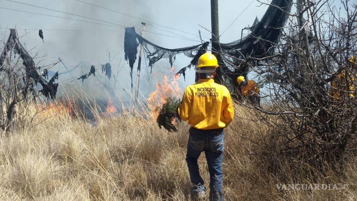 $!Las regiones Laguna, Norte y Centro de Coahuila presentan el mayor riesgo de incendios este martes 18 de marzo, según Conagua.