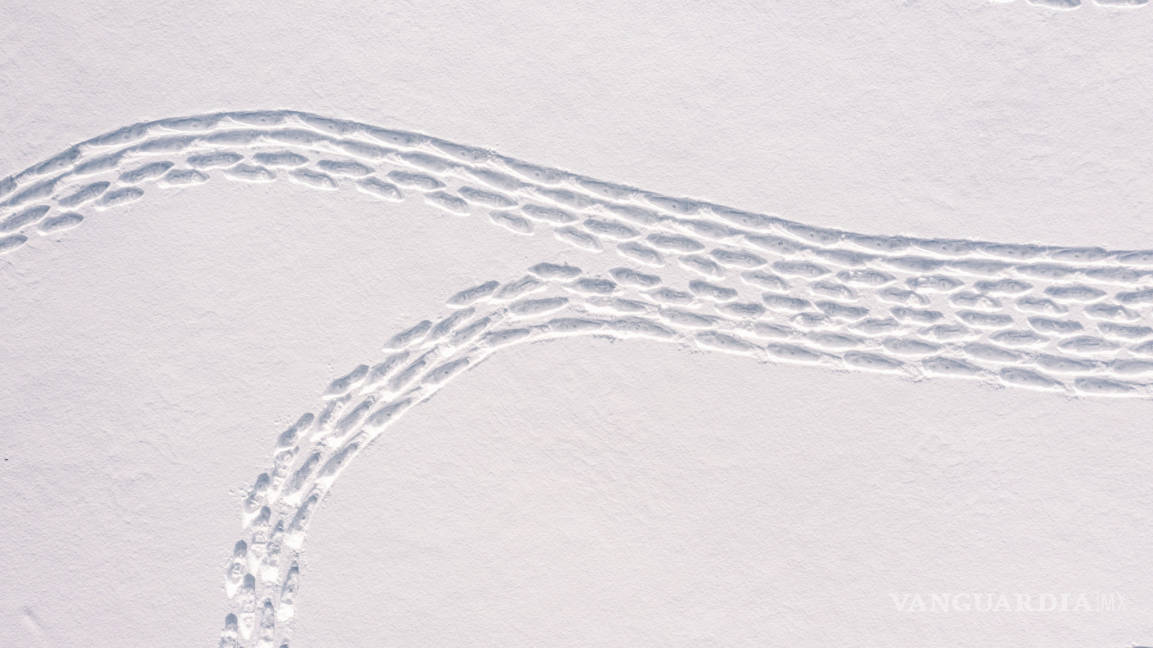 $!Con pisadas en la nieve crean obra de arte en Finlandia