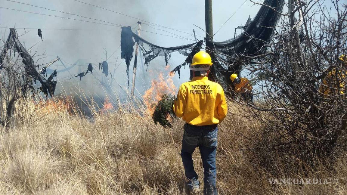 $!Bomberos y brigadistas combaten el incendio en la Sierra de Arteaga, donde las llamas avanzan por las faldas de la montaña.