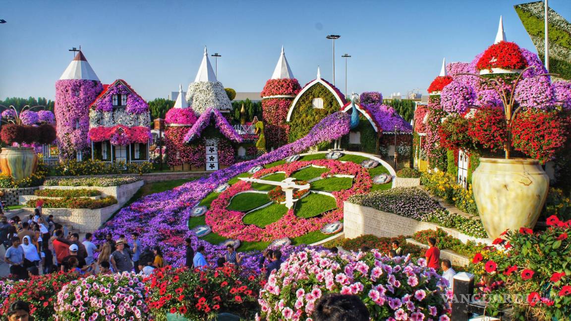 ‘Encantan’ a viajeros con el mítico edén floral del Golfo Pérsico ¡con más de 150 millones de flores!