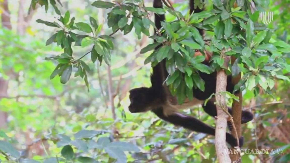 $!Así será el fin del mundo según la ONU... ¡y ya tiene fecha!