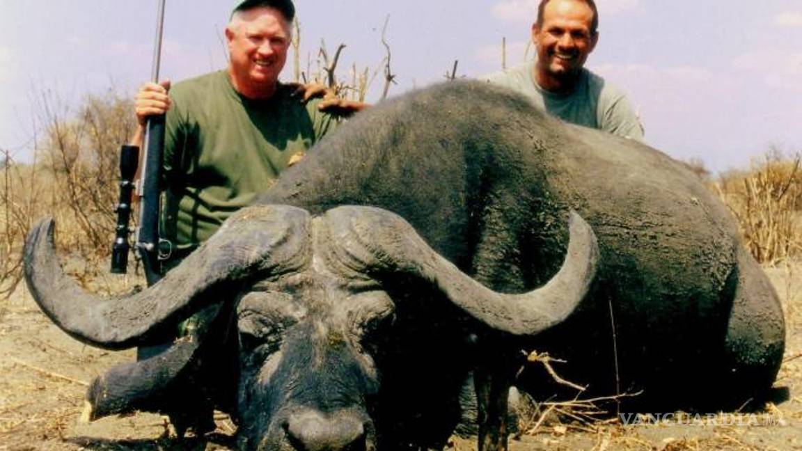 $!Búfalo mató a cazador que había asesinado a uno de su manada