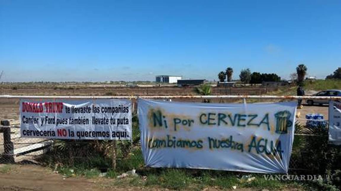 $!Hubo corrupción en permisos de Constellation Brands, argumenta AMLO