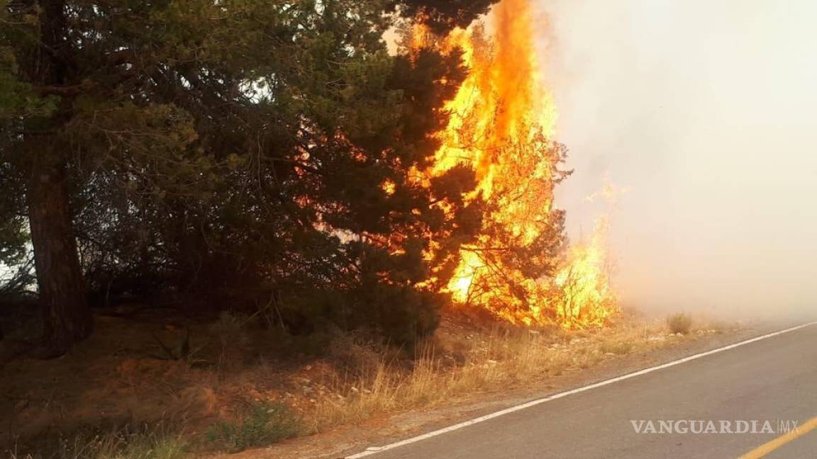 $!¡Ahora fue un corto! Fuego afecta 600 hectáreas en Arteaga