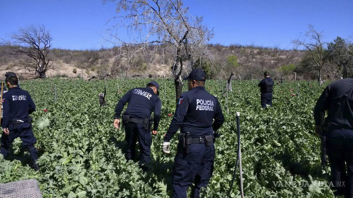 $!Consumo de heroína y opiáceos destruye a EU y devasta a México: The Washington Post