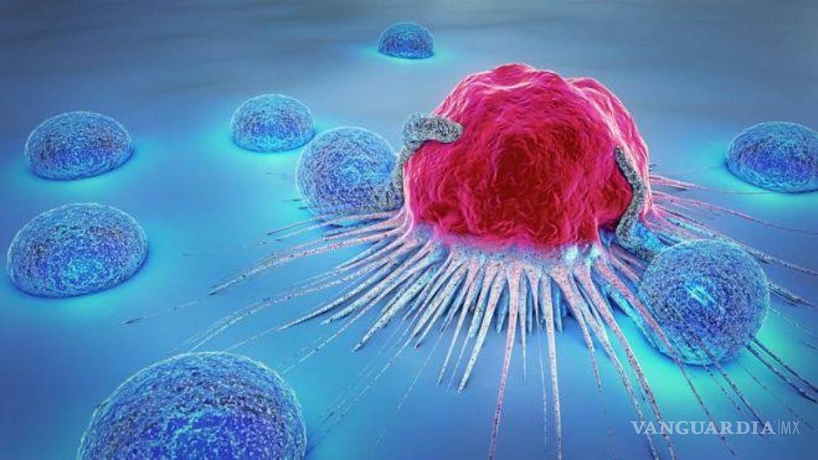 Científicos descubren nuevo tratamiento contra el cáncer