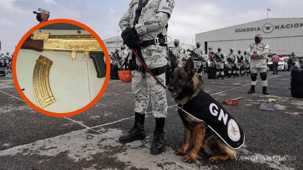 ¡Héroe canino!... perro de la Guardia Nacional descubre arsenal en Coahuila