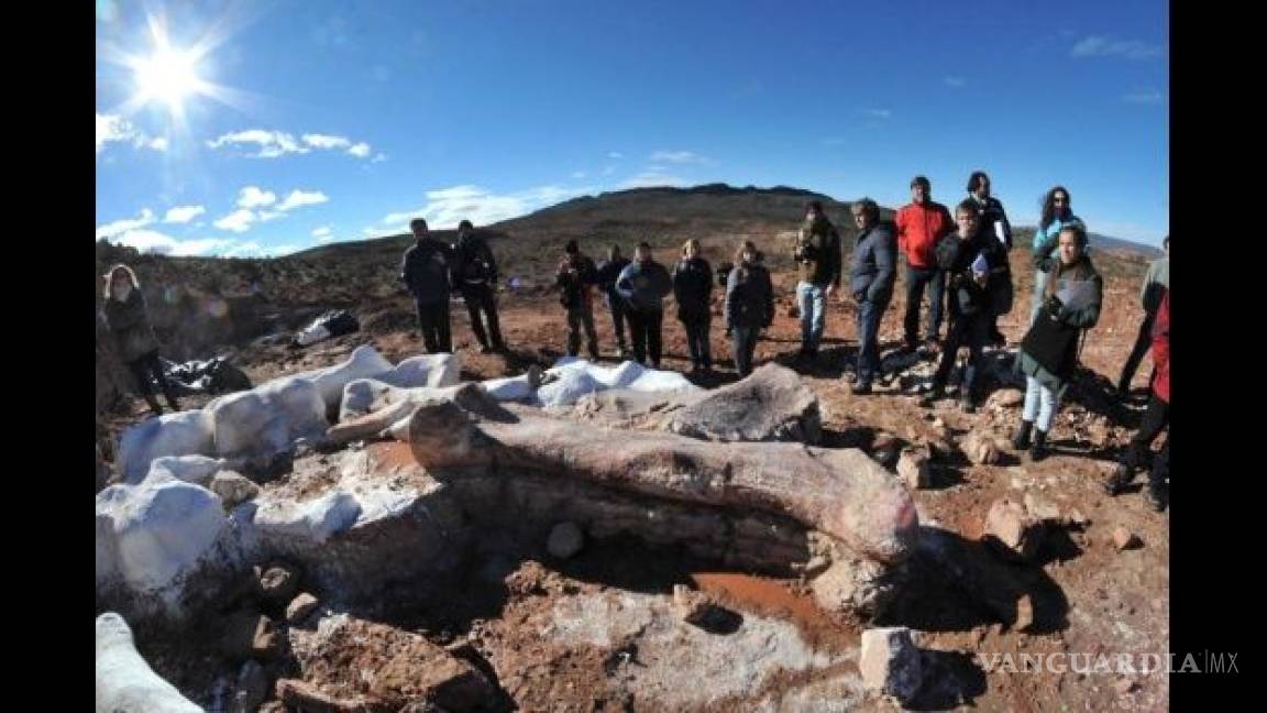 Hallan en Argentina al dinosaurio gigante más antiguo del mundo