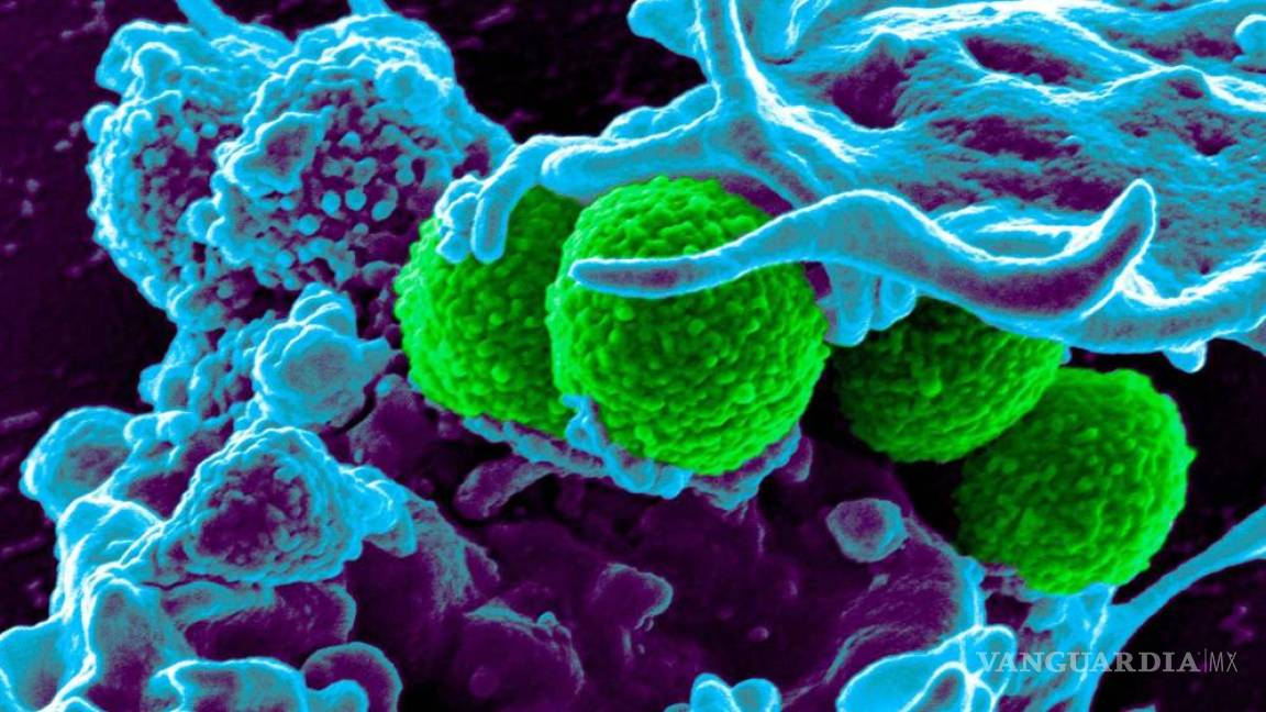 Superbacterias mortales surgirán por excesivo consumo de antibiótico: OMS