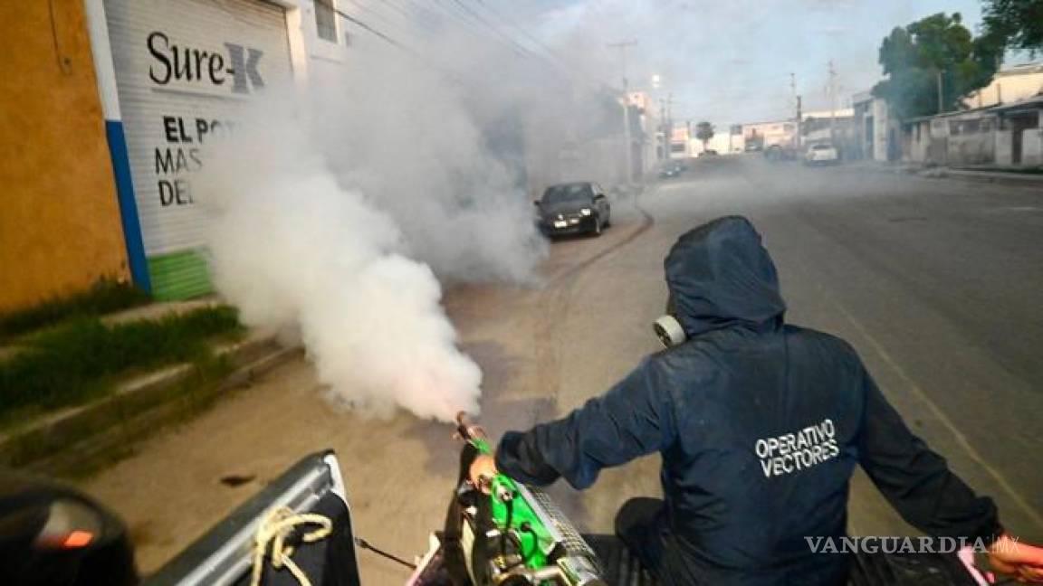 Coahuila: ¿Sospechas de dengue en tu casa o colonia? Así puedes pedir fumigación a Salud pública