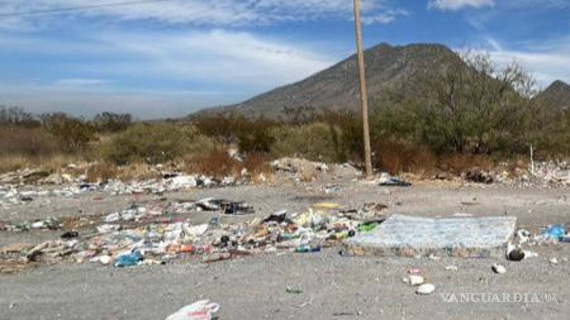 $!Las autoridades municipales y la Policía Ambiental realizarán rondines y patrullajes para disminuir estos casos.