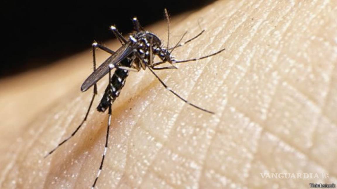 Confirman primer caso del virus Zika en Querétaro