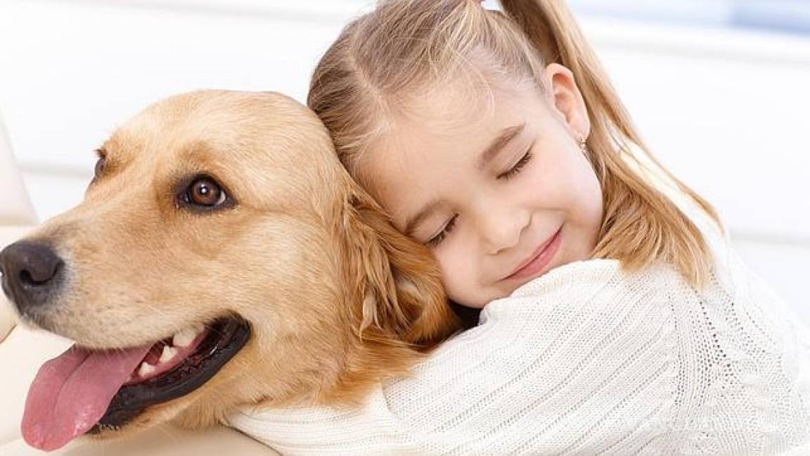 Niños se llevan mejor con sus mascotas que con sus hermanos: Estudio
