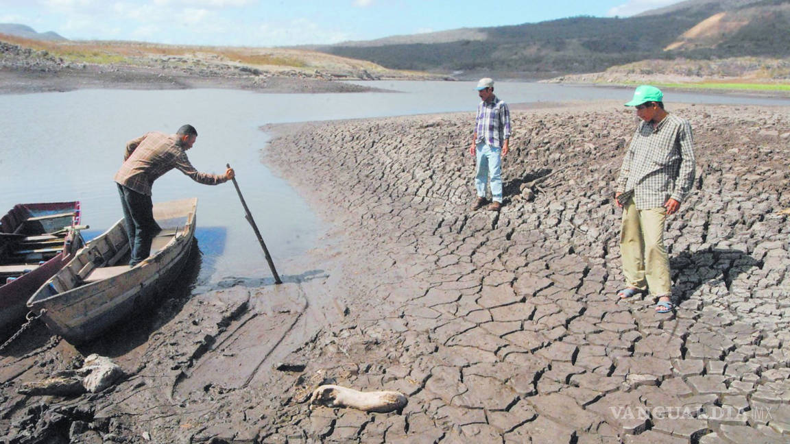 Urge ONU medidas para frenar la desertificación; Bill Gates pide innovar en agricultura