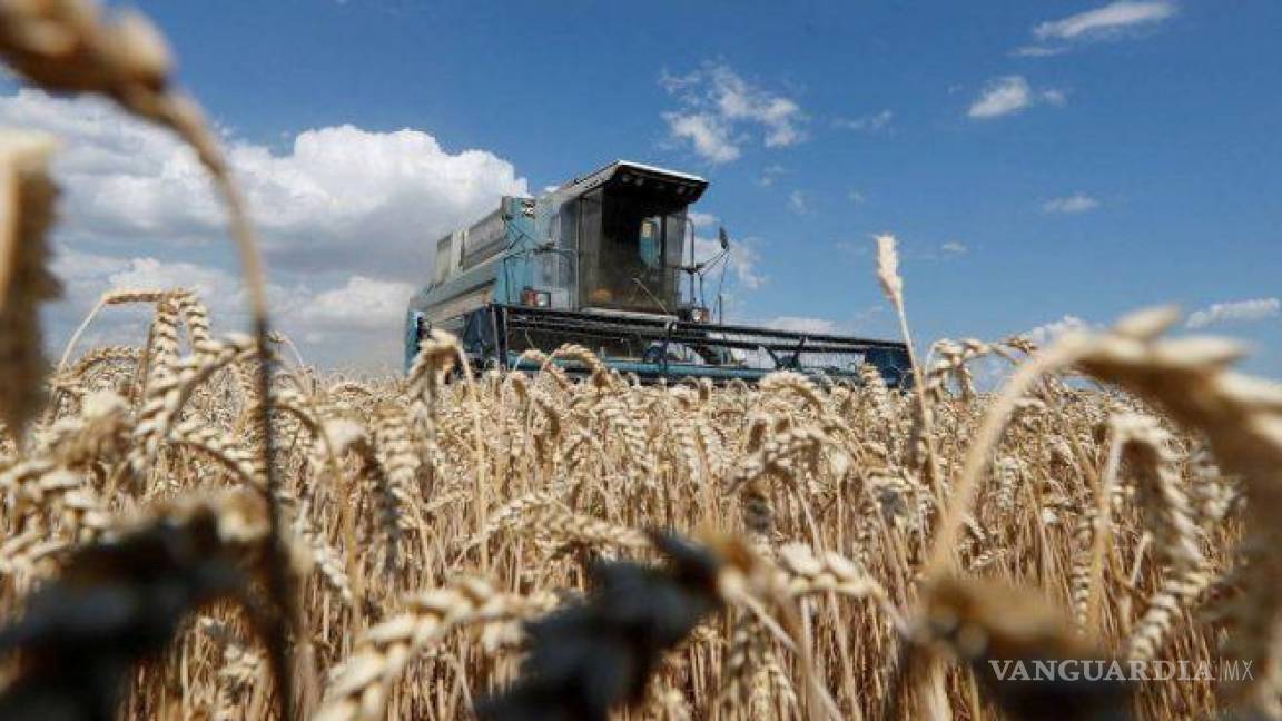 México es dependiente alimentario; importa 83% del arroz y 65% del trigo que consume