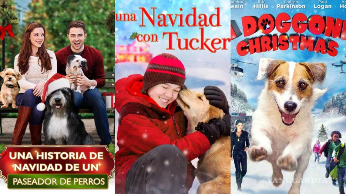 ¿Amante de los lomitos? No te pierdas estas películas navideñas con perros protagonistas