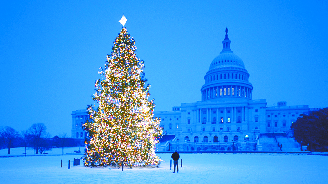 $!El árbol de Navidad, la estrella de las fiestas