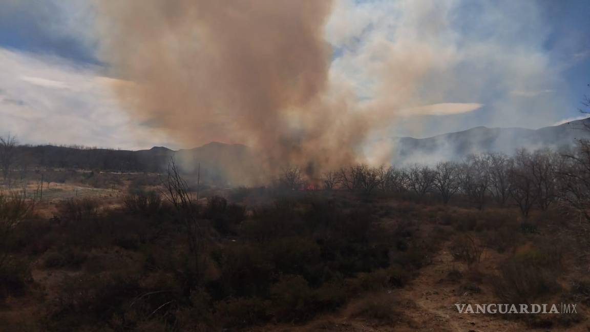 Se registra incendio en nogalera sobre la carretera Parras-Viesca