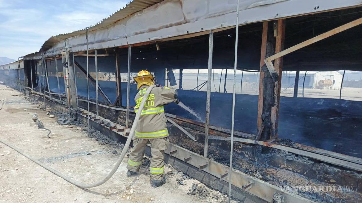 Incendio en gallinero termina con la vida de más de tres mil pollos en Derramadero