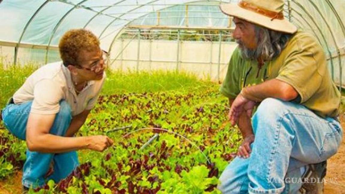 EUA otorga apoyos por mil 300 mdd a 36 mil agricultores