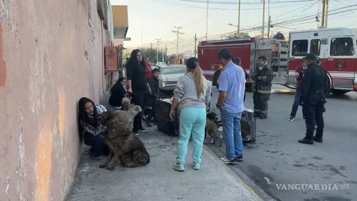 Se incendia veterinaria en la colonia República de Saltillo; once animales son evacuados