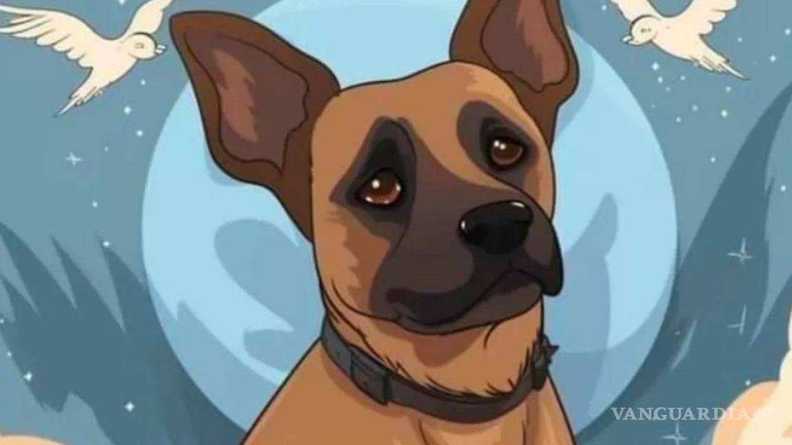 ¿Por qué le hizo eso?, dueño de Scooby, perrito arrojado a aceite hirviendo, lamenta su muerte