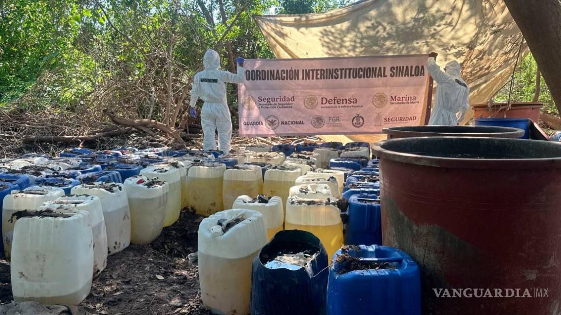 Suman 50 narcolaboratorios desmantelados en lo que va del año
