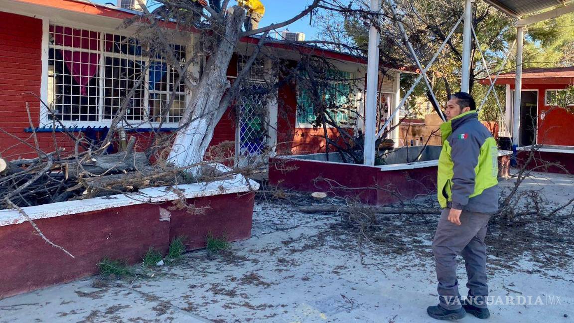 $!Elementos de Protección Civil evaluó las condiciones de las escuelas donde hubo caída de árboles.