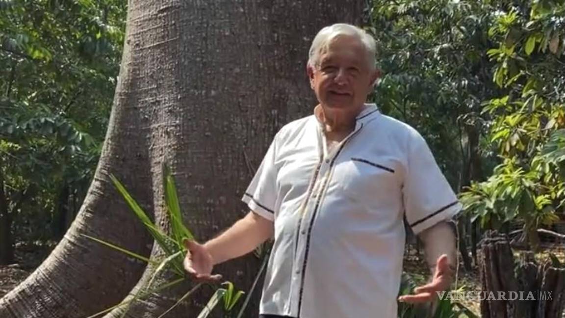 Advierte AMLO a oposición que no podrán prohibir las mañaneras