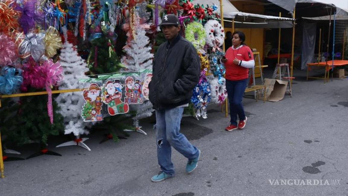$!Juan Marcos Orozco, vendedor de planta, informó que el precio de los pinos artificiales tiene un costo de entre 550 y mil pesos.