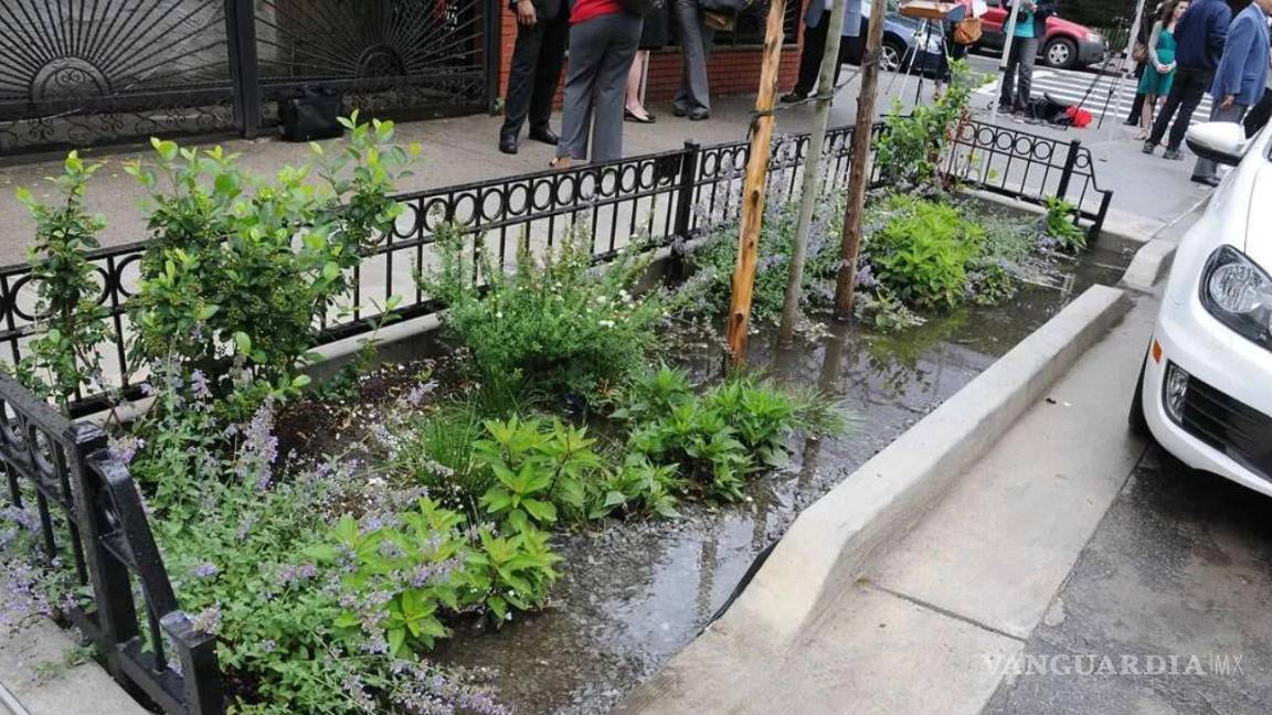 $!Los jardines de lluvia funcionan como sistemas de captación, filtración y almacenamiento pluvial.