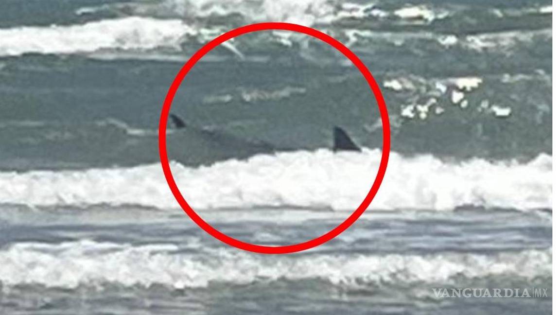 $!Ataca tiburón a dos personas en playa de la Isla del Padre