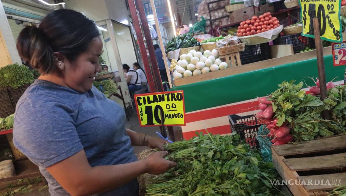 Se dispara precio del cilantro por sequía