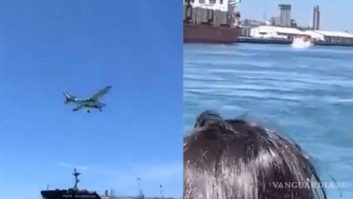 Momento en que una avioneta, donde murió bebe, cae al mar en Mazatlán (video)