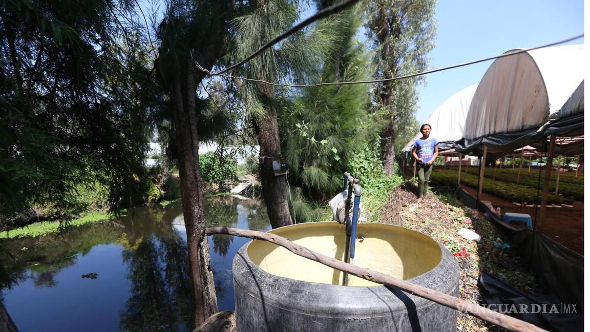 Piden a Gobierno de Sheinbaum no quitar agua al campo