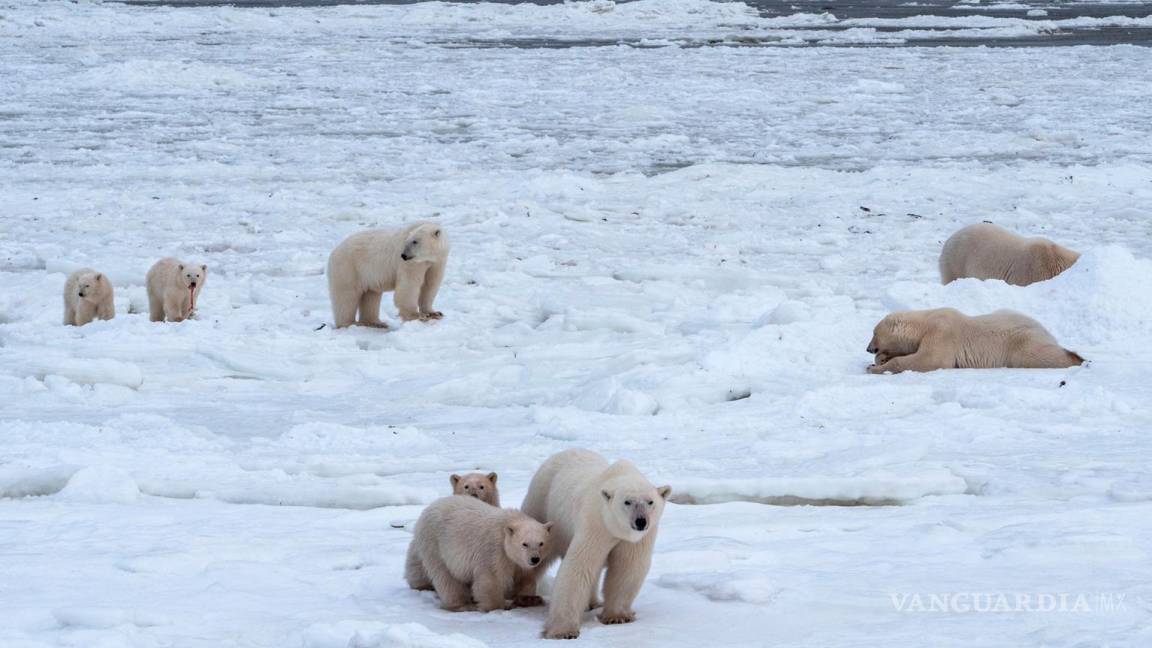 El Ártico que se derrite podría conducir a enormes riquezas, pero también a una guerra mundial