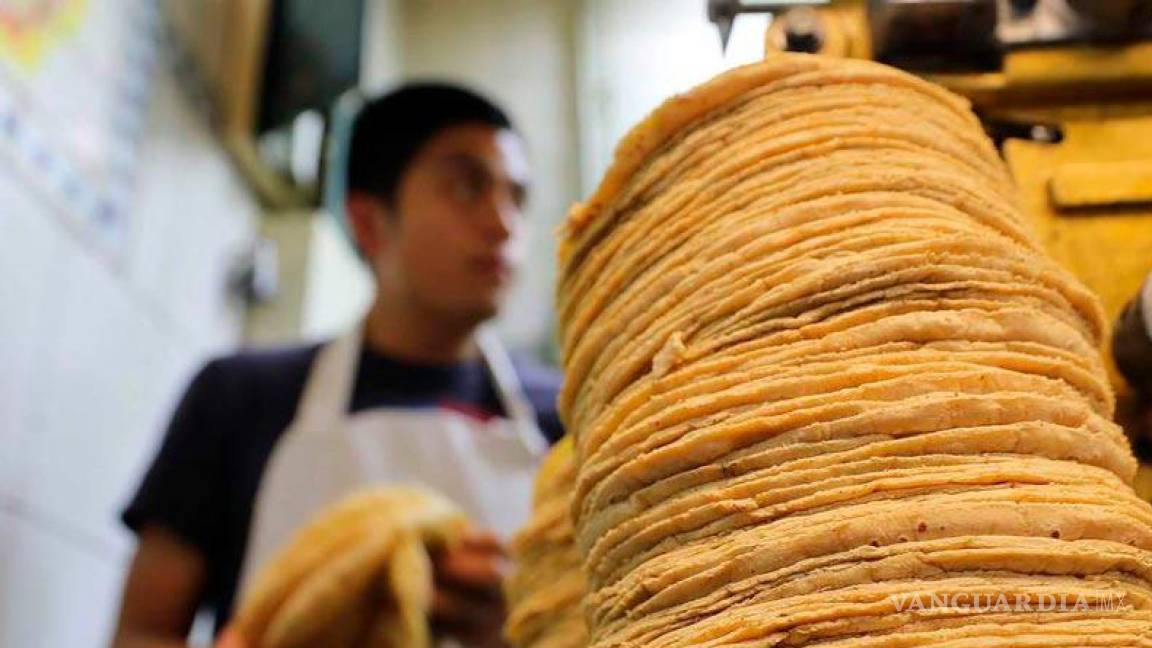¡Mexicanos comen tortillas ‘envenenadas’!... 50% están contaminadas con químicos y precursores de cáncer