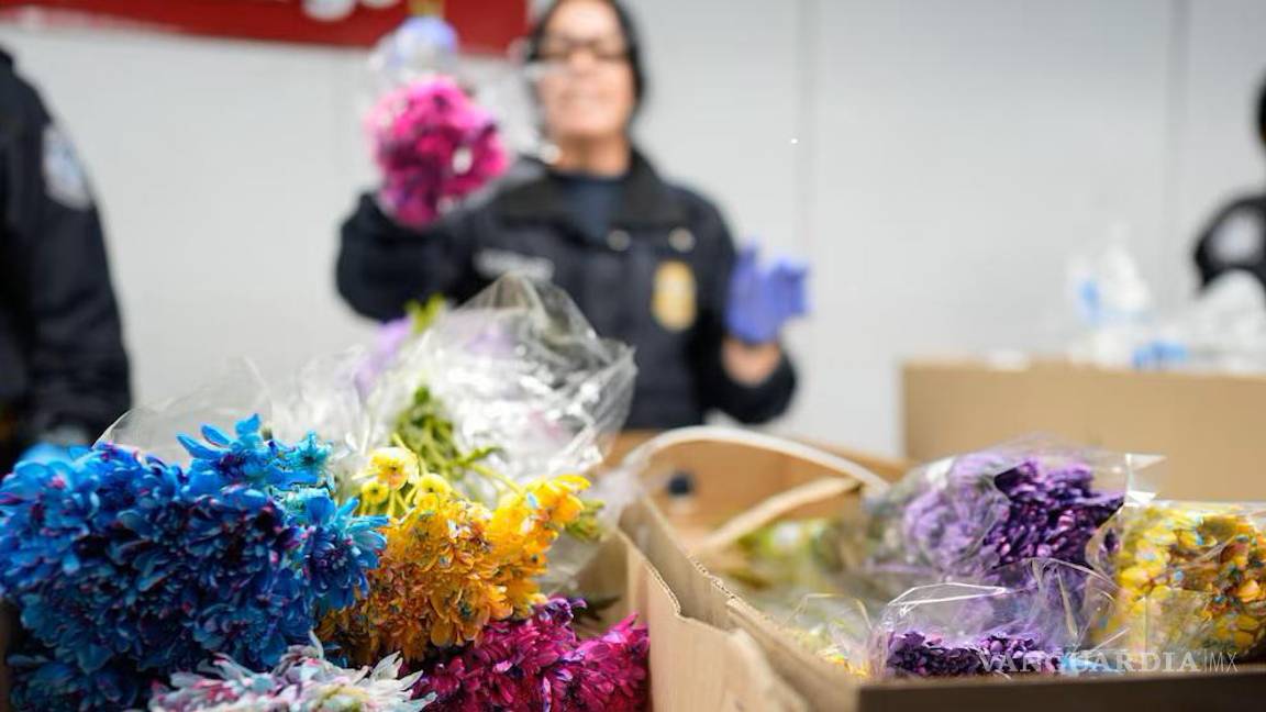 Restringe EE.UU. importación de flores de Piedras Negras por riesgo agrícola